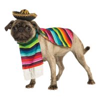 Bild på Mexiko Hund Maskeraddräkt - Medium