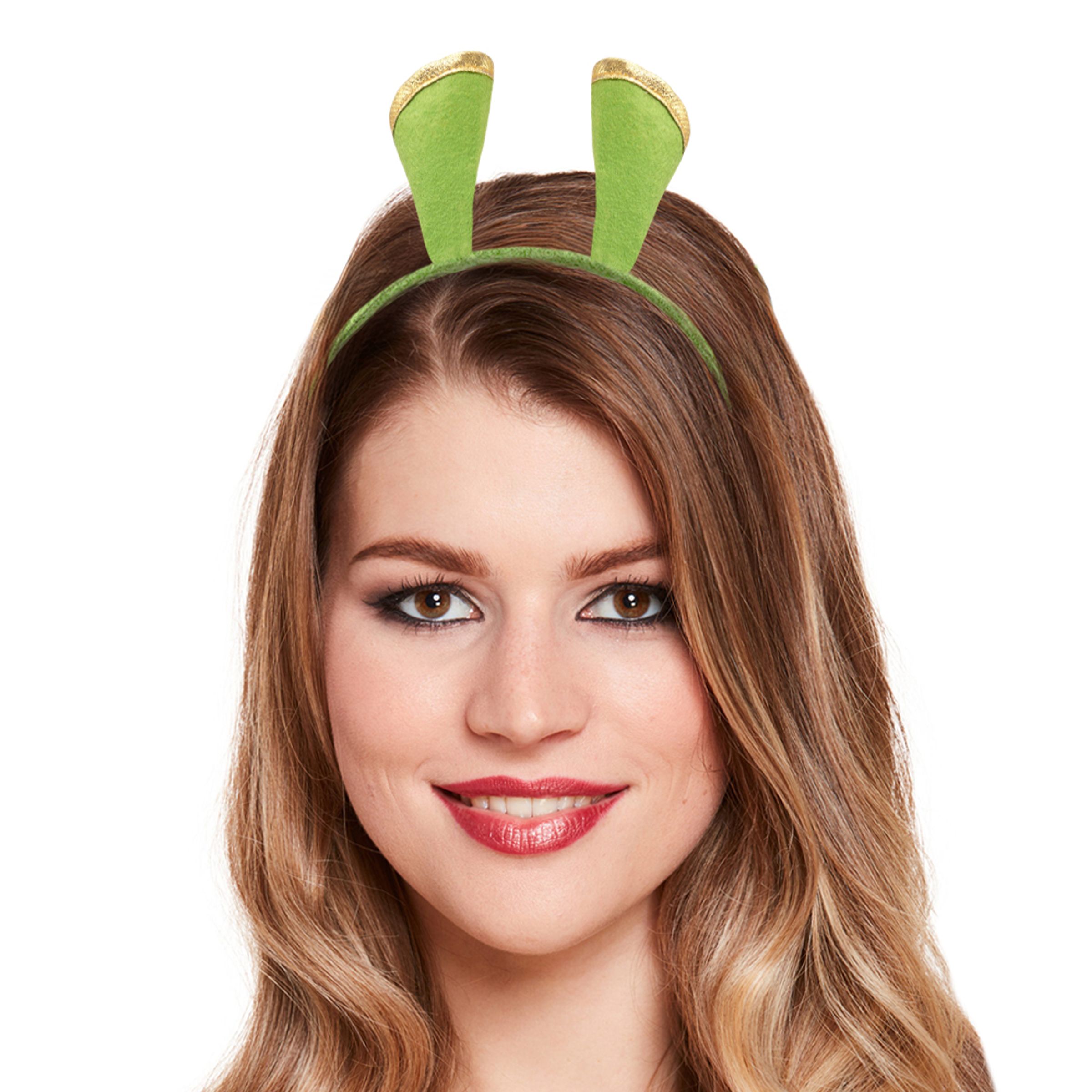 Bild föreställande produkten Diadem Träsktroll – One size