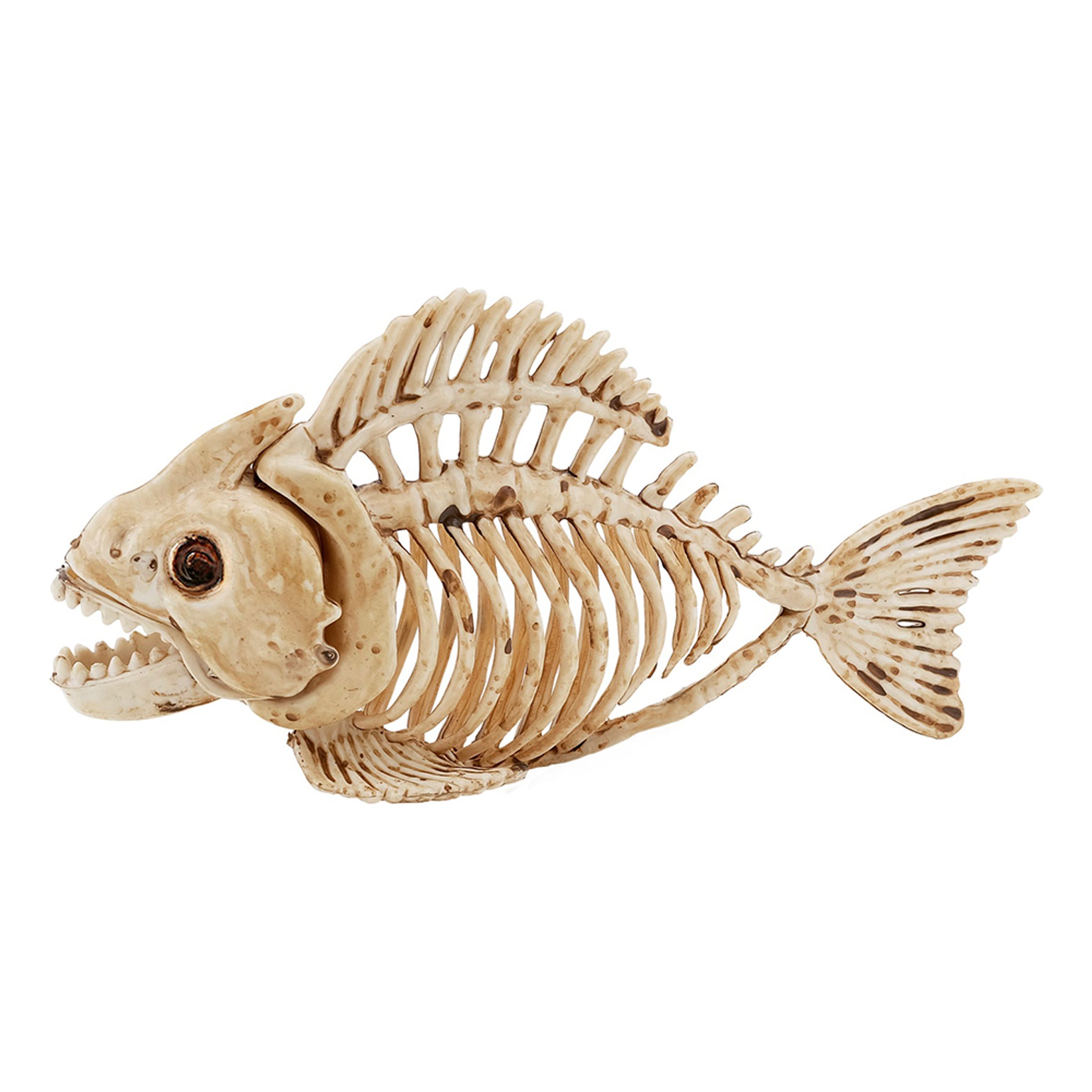 Bild föreställande produkten Fisk Skelett Prop