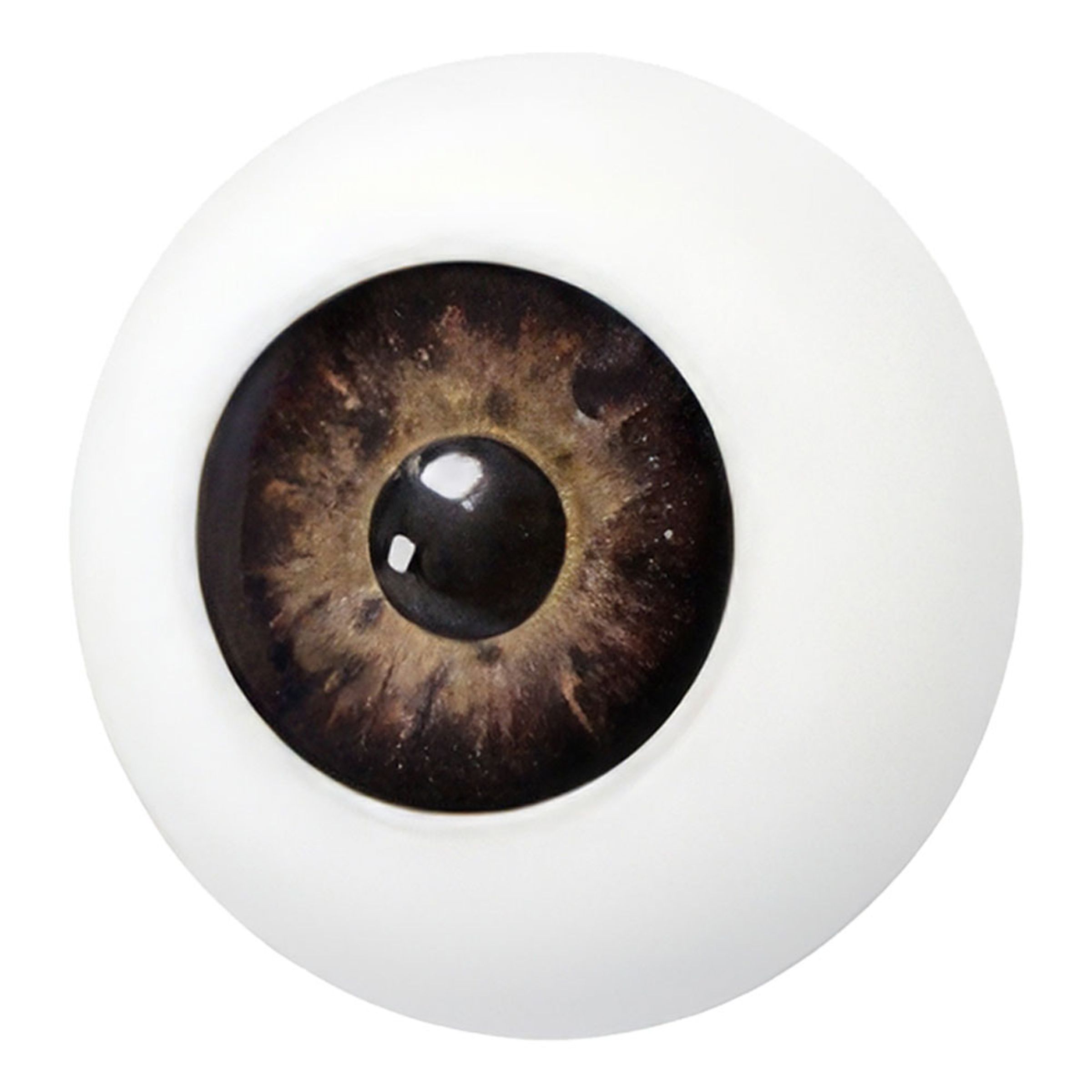 Bild föreställande produkten Grimas Artificiellt Öga – Brun