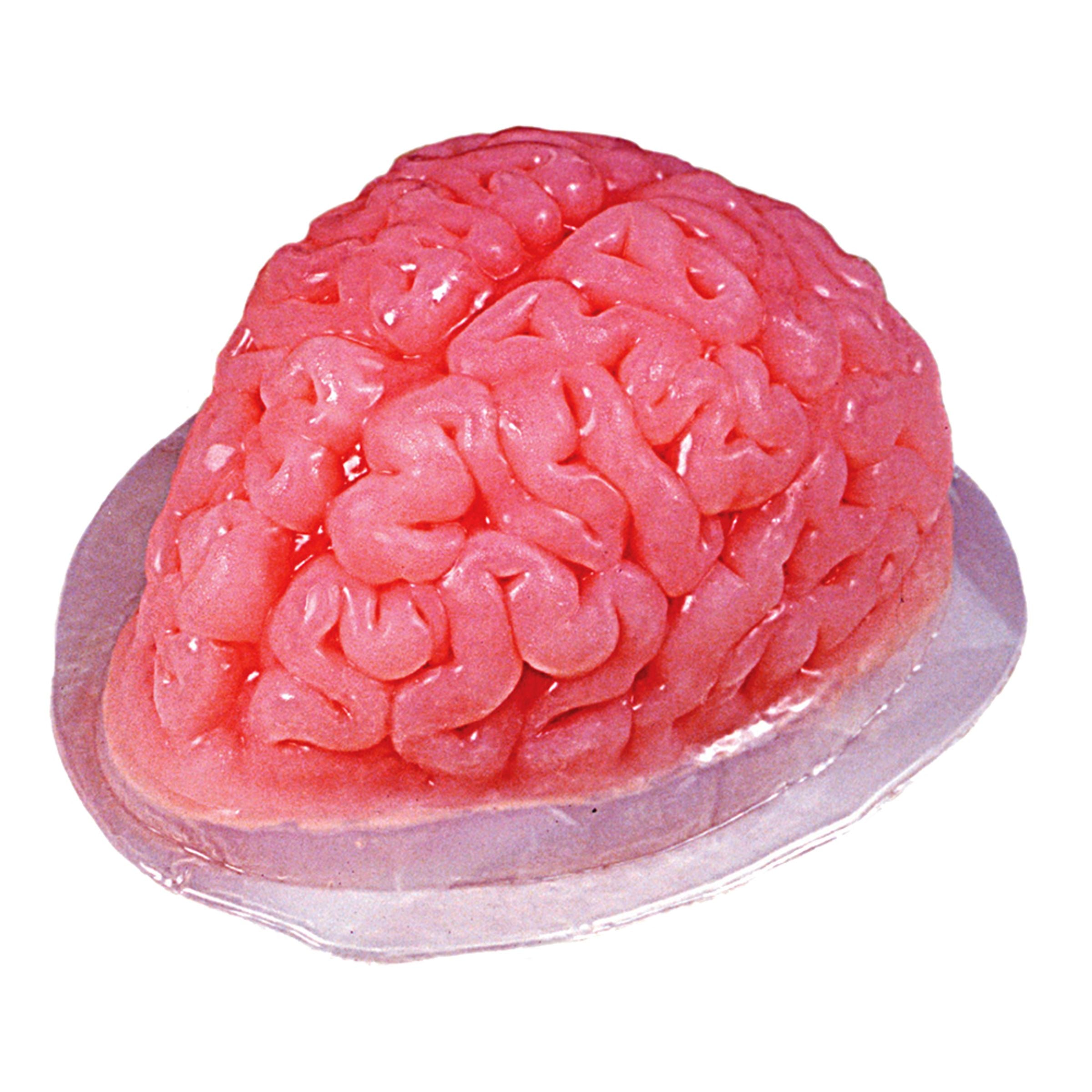 Bild föreställande produkten Gelatinform Hjärna
