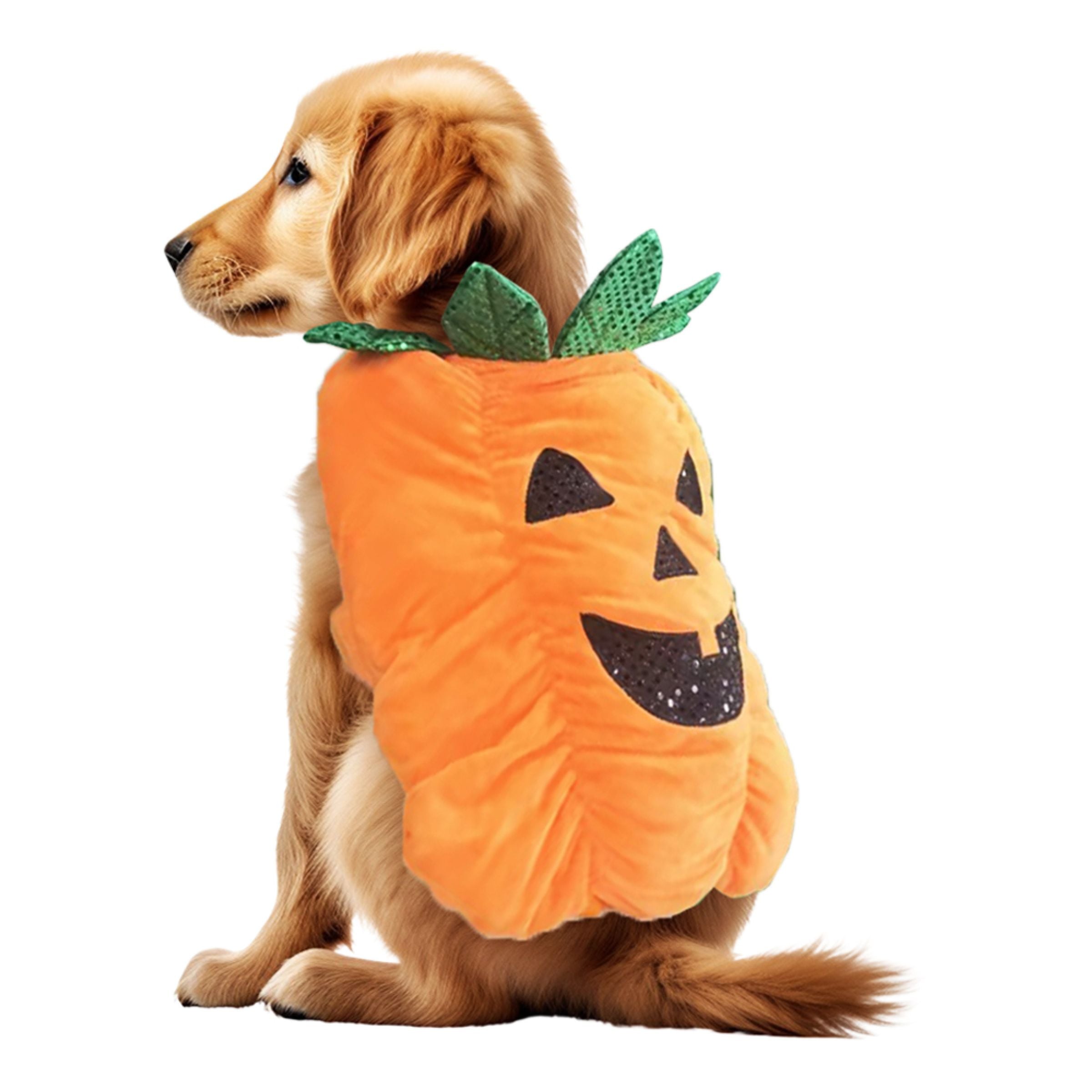 Bild föreställande produkten Pumpa Maskeraddräkt för Hund
