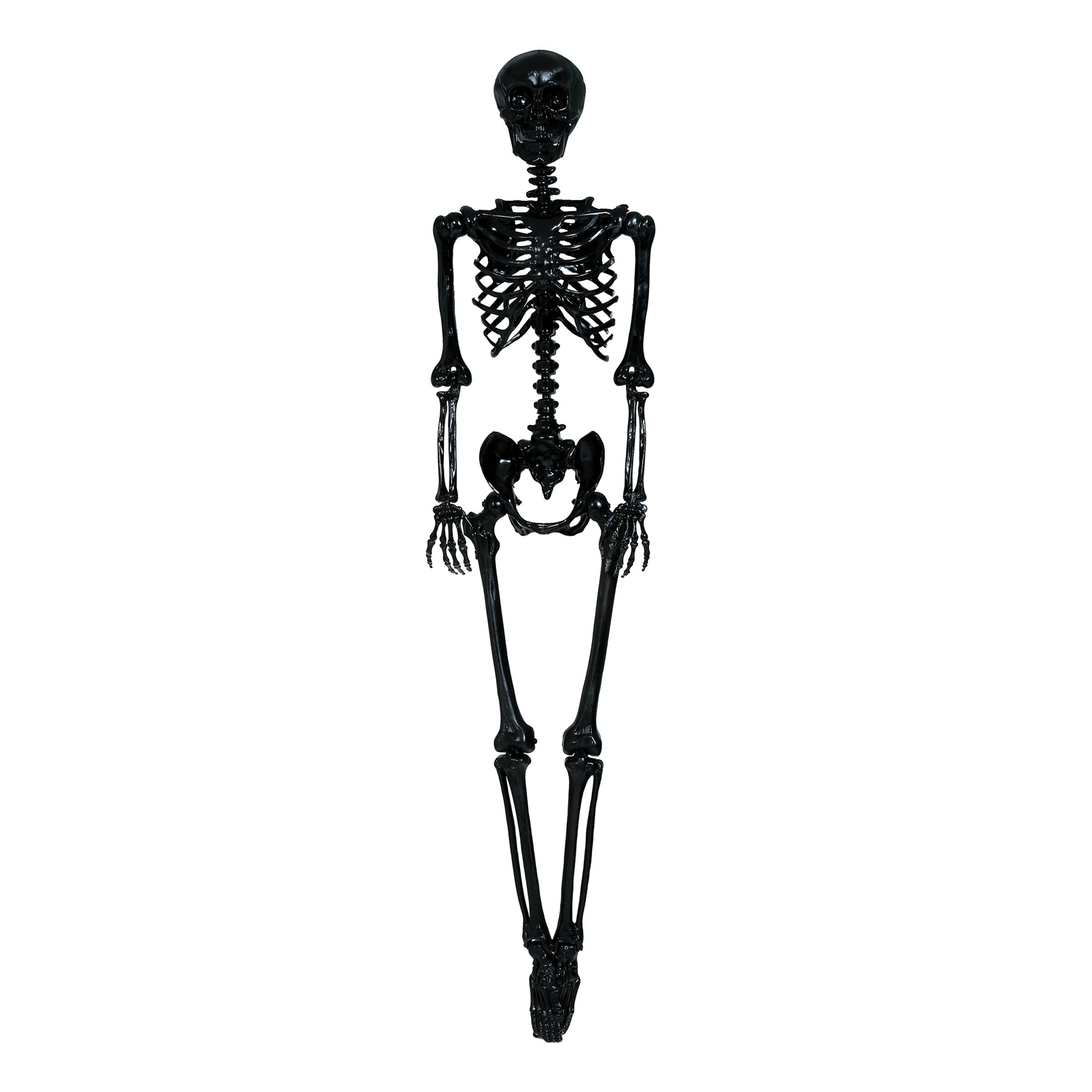 Bild föreställande produkten Skelett Svart Prop – 160 cm