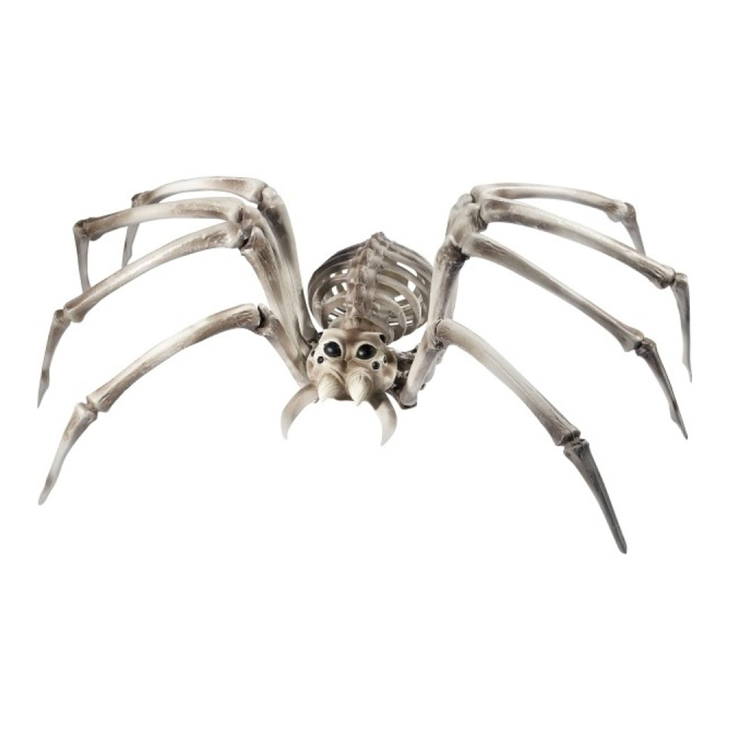 Bild föreställande produkten Jättespindel Skelett Prop