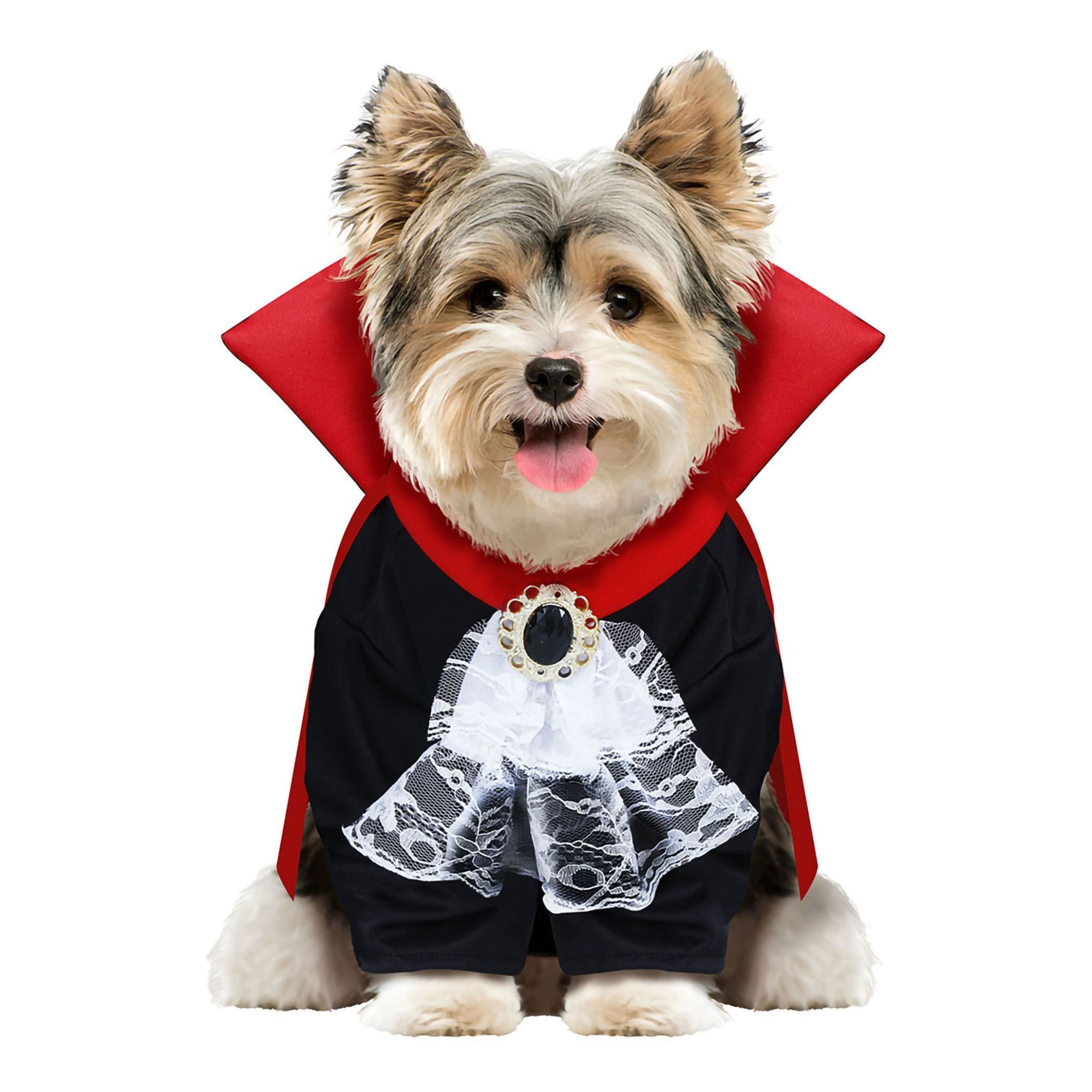 Bild föreställande produkten Vampyr Maskeraddräkt för Hund – Medium